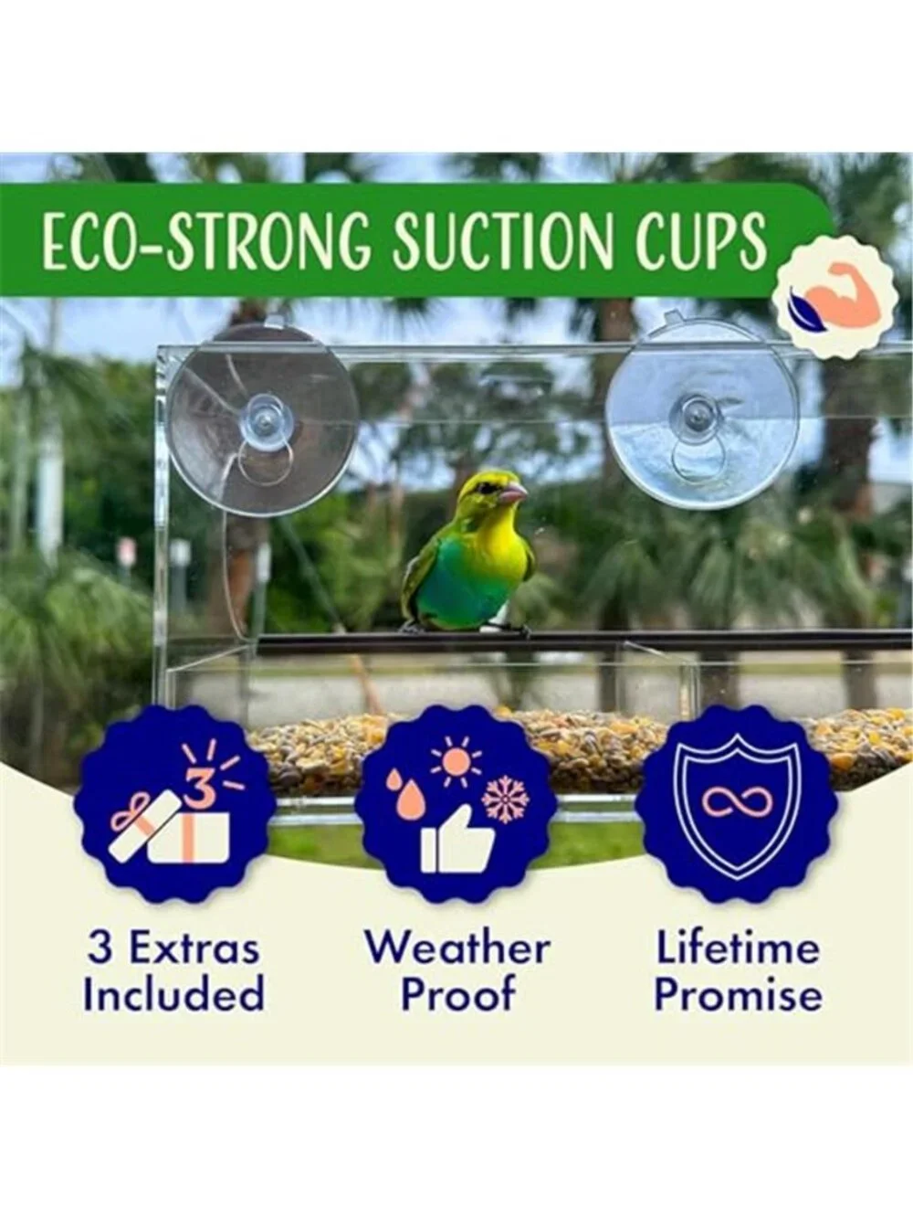 Window Bird Feeder by Nature’s Hangout - Award-Winning Clear Acrylic Bird Feeder